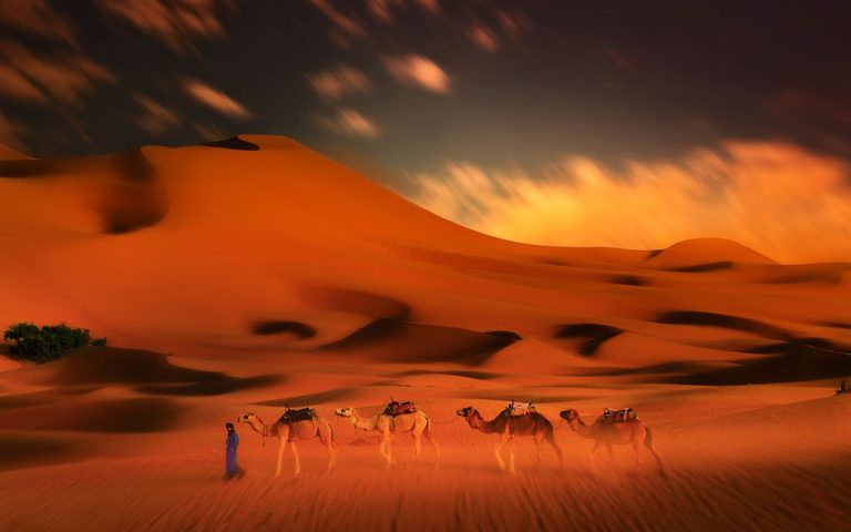 The Sahara, Privately