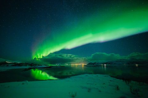 Arctic & Aurora