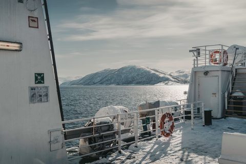 The Coastal Expedition