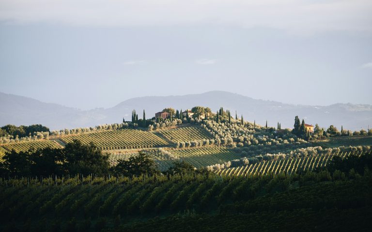 The Season of Access — luxury travel by Forest Travel