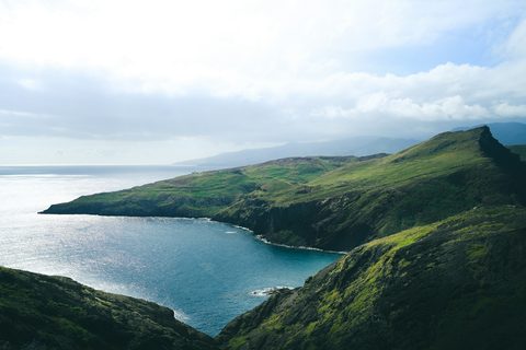 Madeira, the Wild Garden