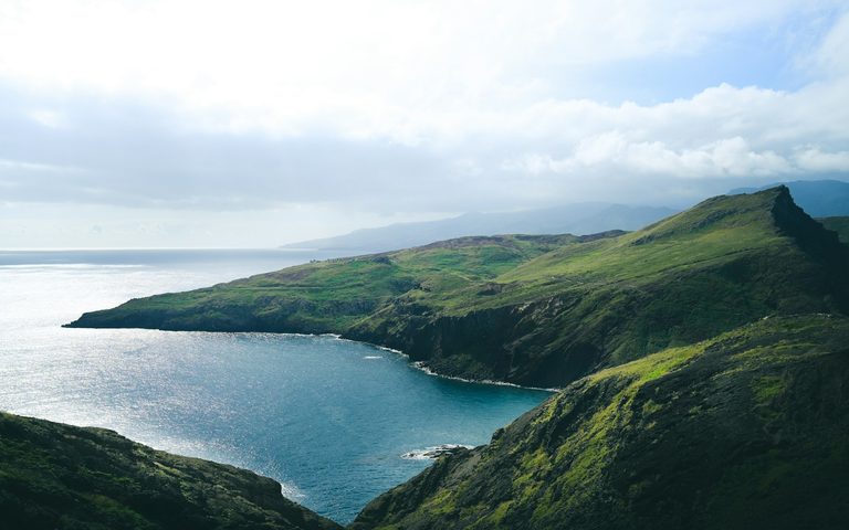 Madeira, the Wild Garden