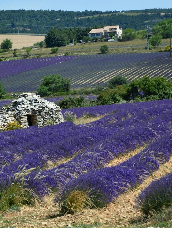 Provence