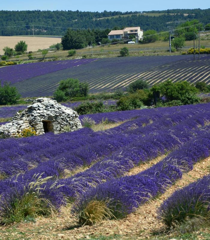 Provence — Southern France