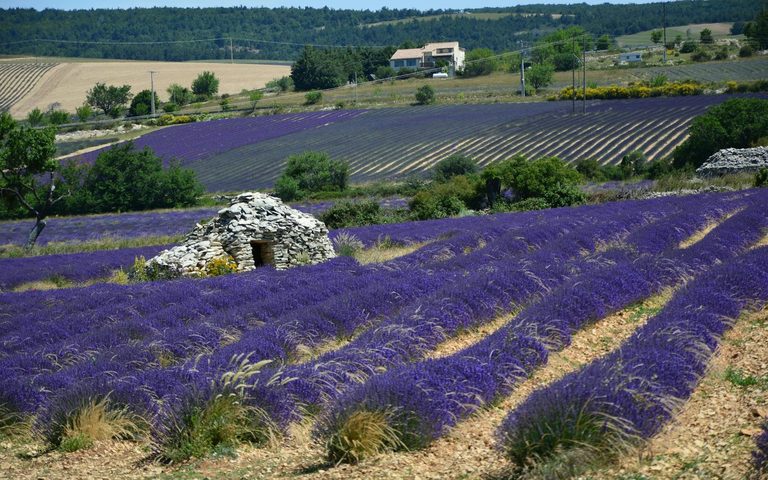 Provence — luxury travel by Forest Travel