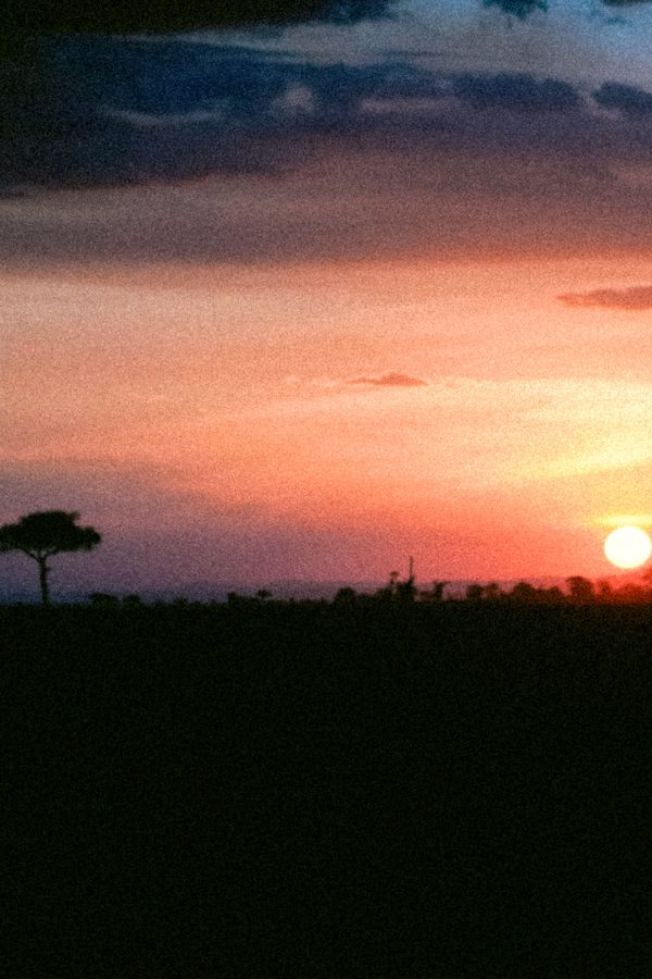Safaris