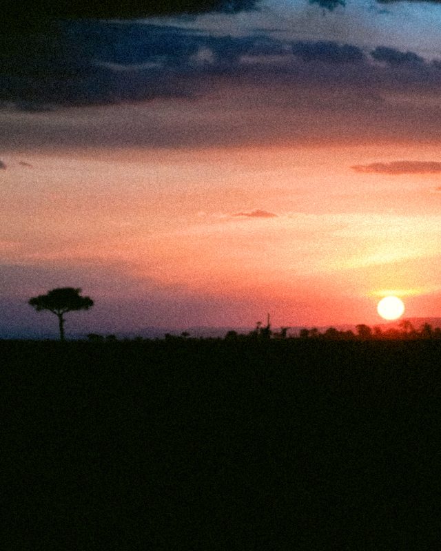 Safaris