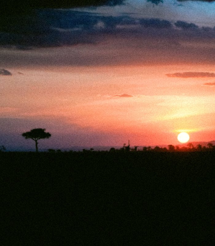Safaris — Sub-Saharan Africa