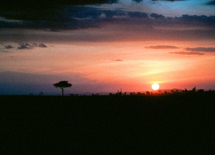 Safari in Africa