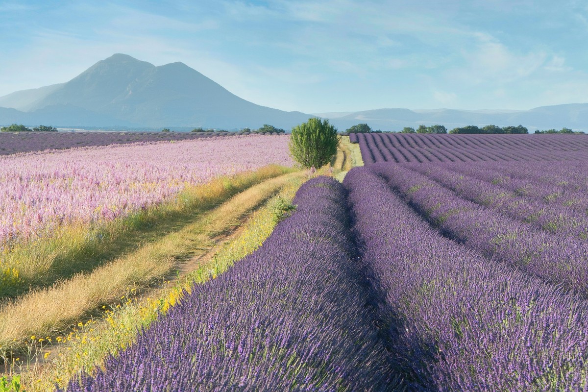 Provence & the Côte d'Azur