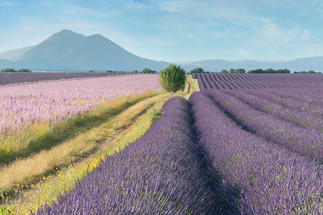 Provence & the Côte d'Azur