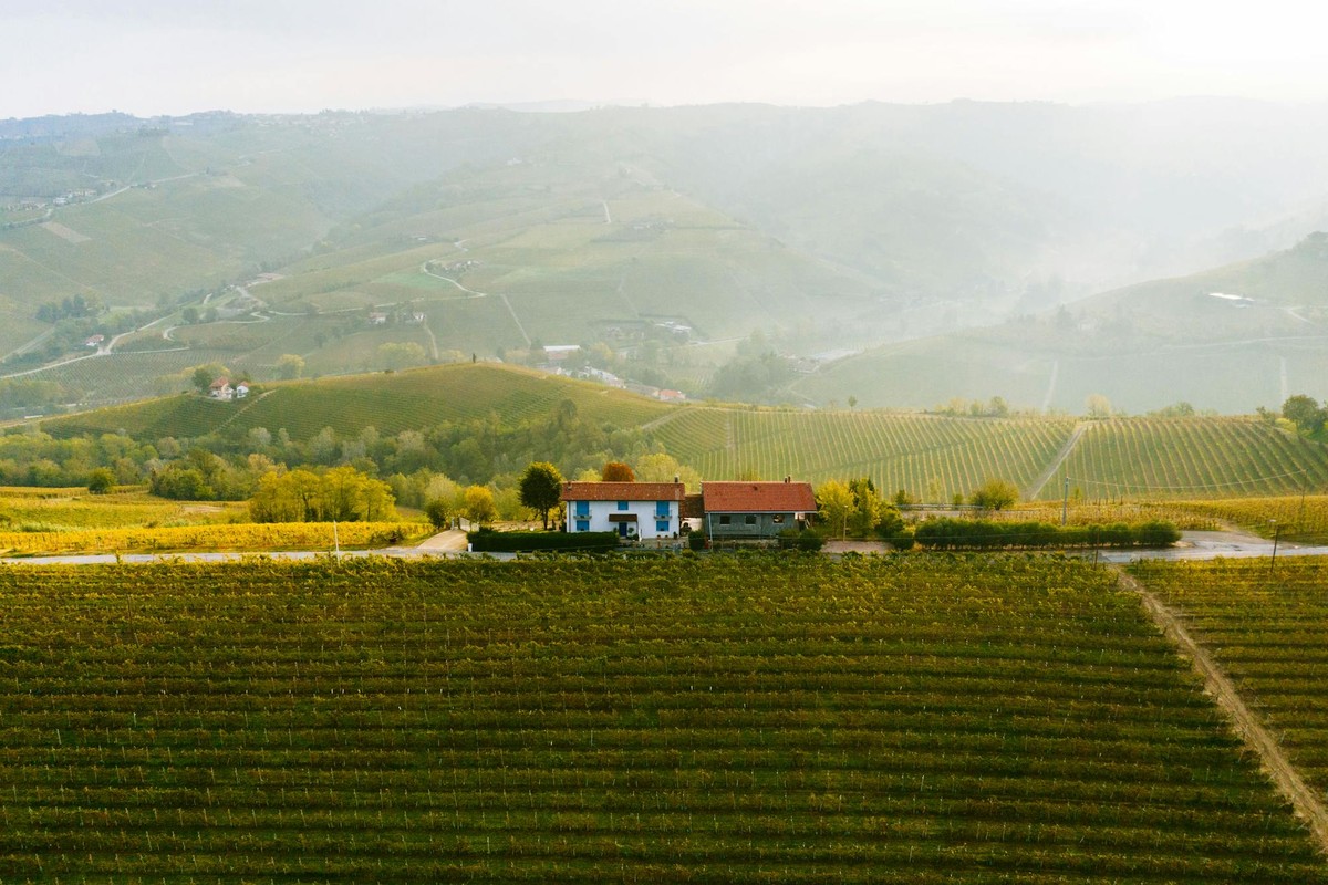 Tuscany & Piedmont