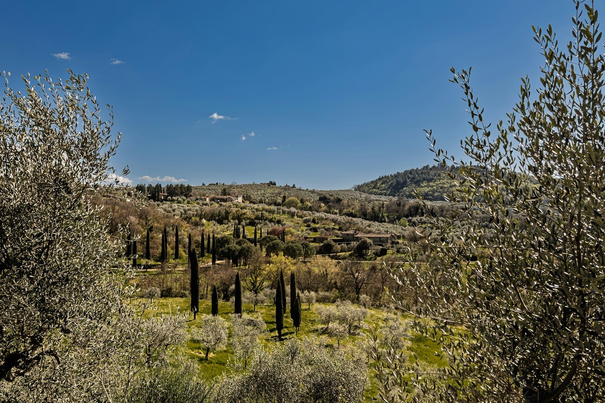 Tuscany & Florence