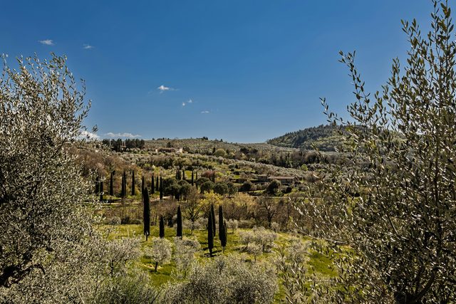 Tuscany & Florence