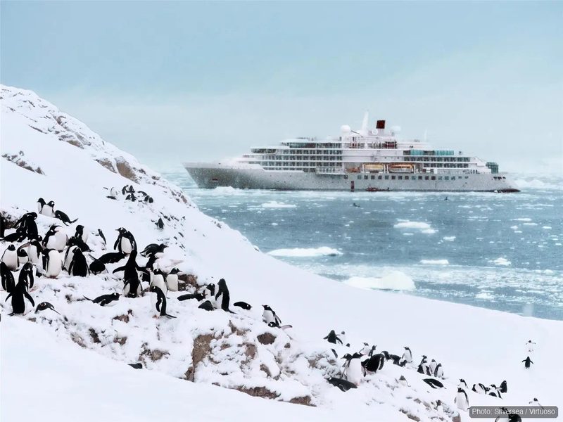 A Silversea expedition ship off an Antarctic shore, with Adélie penguins on the snow