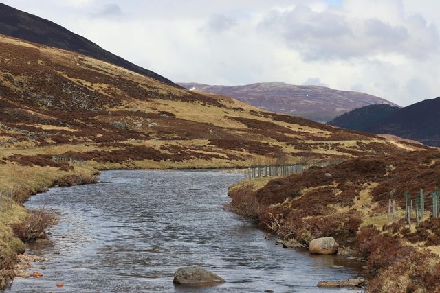 Un río salmonero privado a primera luz