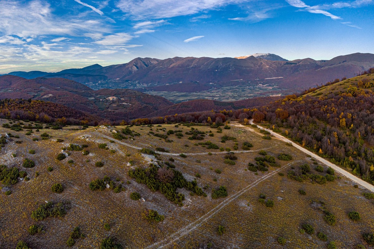 Truffle hunt at first light in Umbria