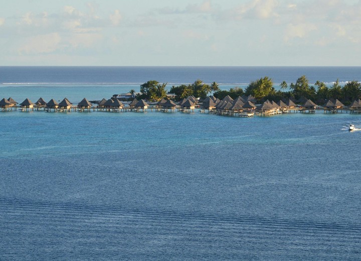 Island Romance