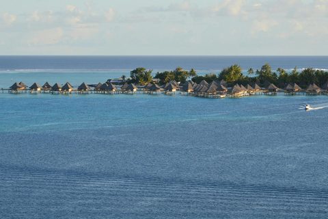 Island Romance