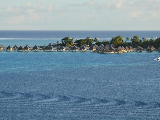 Island Romance