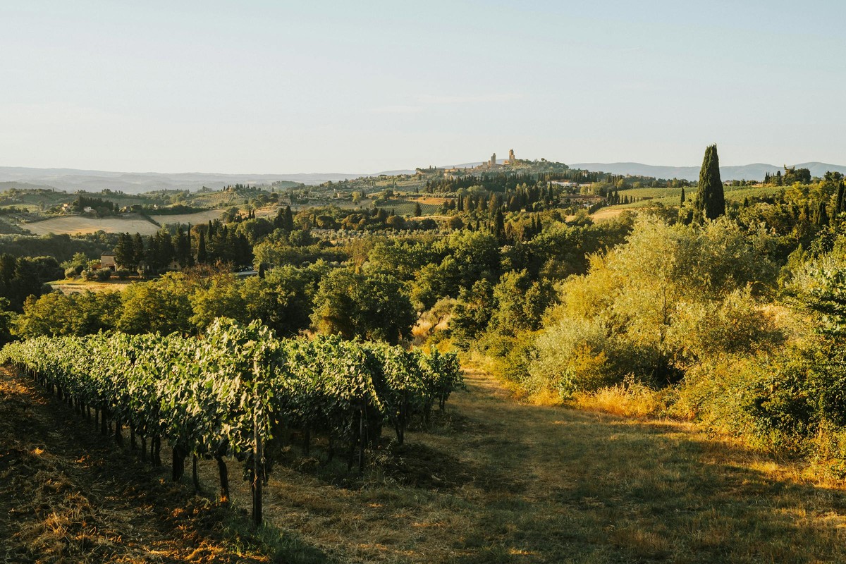 Dinner with a Brunello winemaker in Montalcino