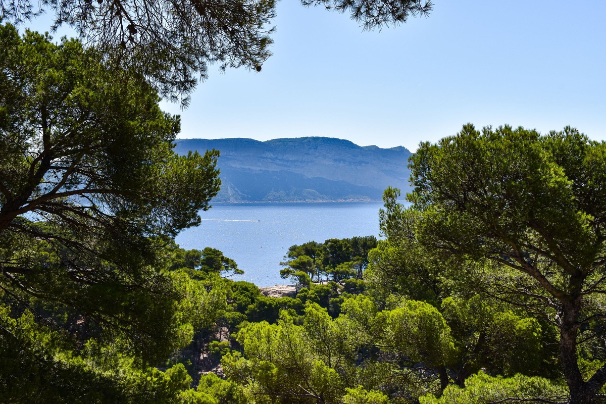 A private viewing at the Fondation Maeght