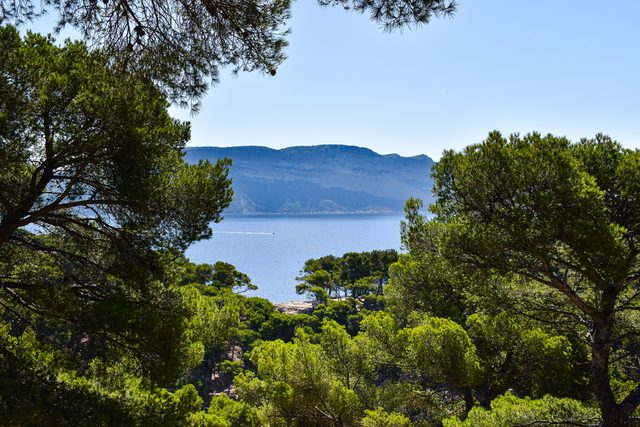 Una visita privada a la Fondation Maeght
