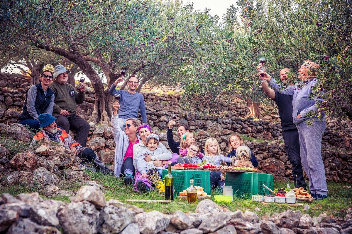 A cheese-and-wine lunch with a farmer
