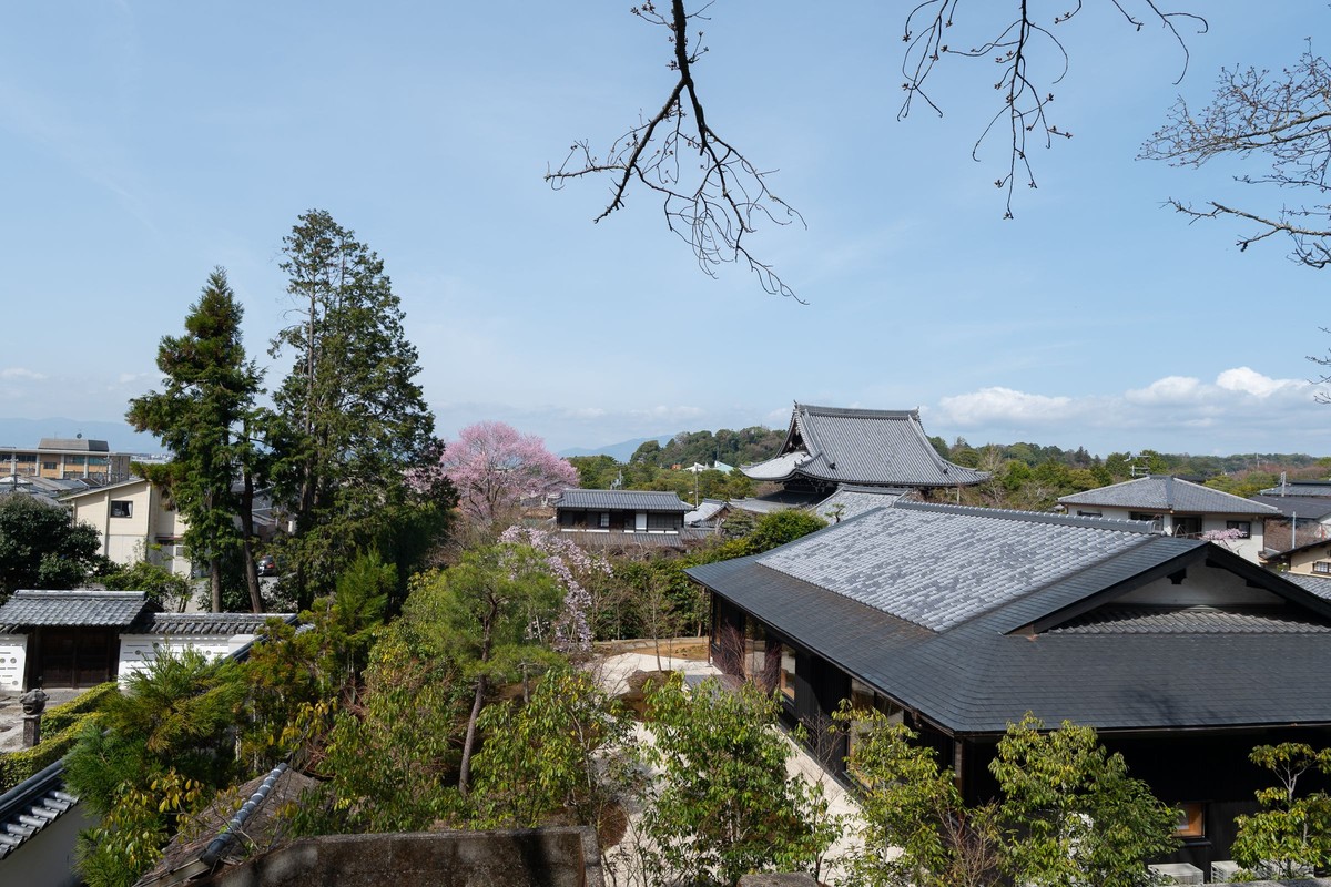 Cherry blossom from a private ryokan