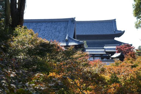 Kyoto Is Crowded. That Is a Timing Problem, Not a Reason to Skip It