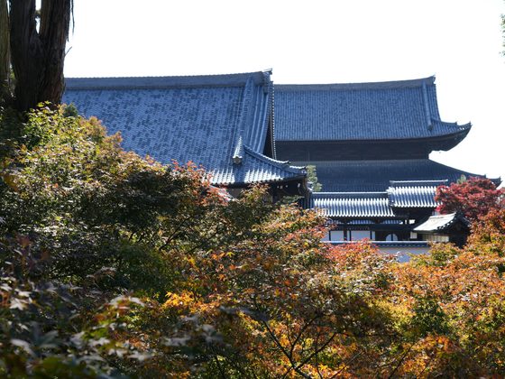 Kyoto Is Crowded. That Is a Timing Problem, Not a Reason to Skip It
