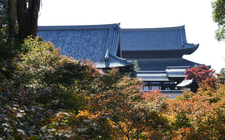 Kyoto Is Crowded. That Is a Timing Problem, Not a Reason to Skip It