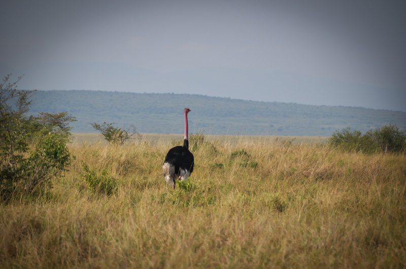A private conservancy walk — access rather than address