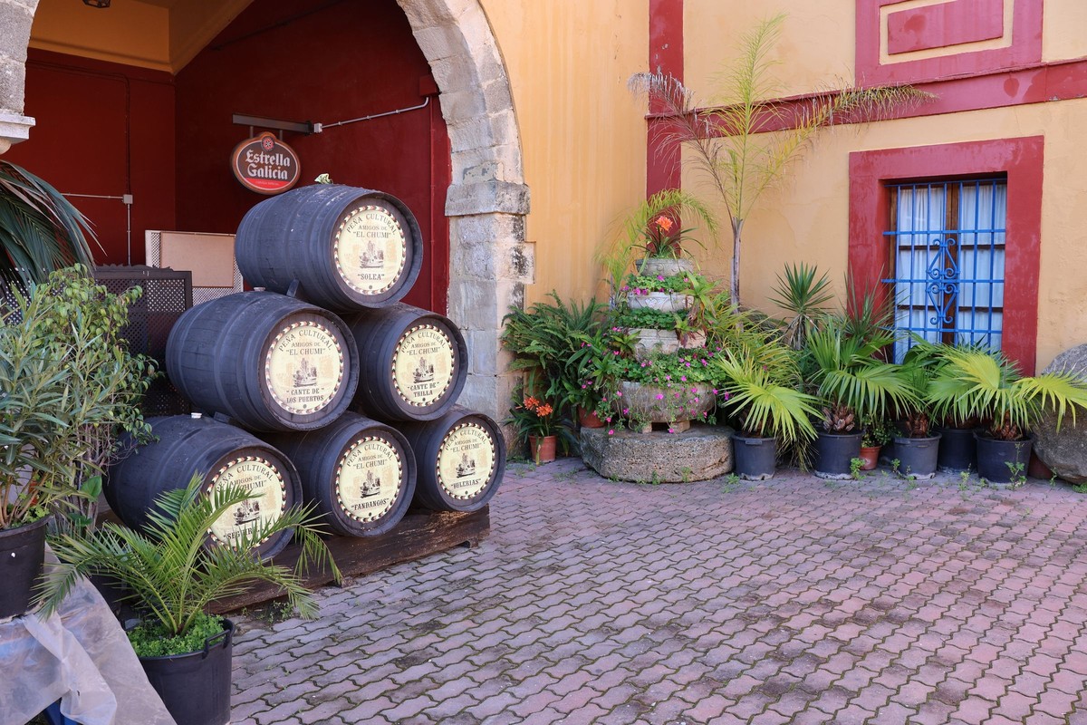 A sherry bodega lunch in Jerez