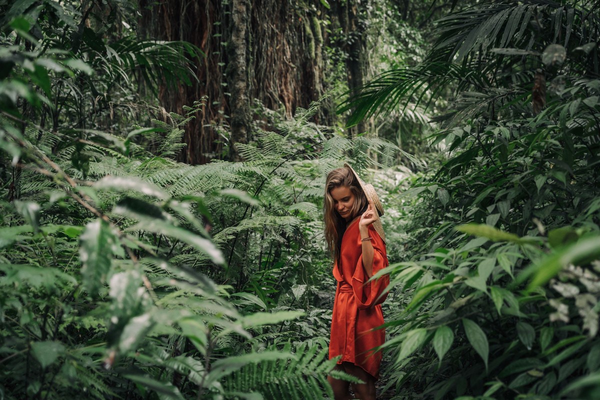 A rainforest walk to the warm Sulphur Springs