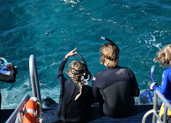Family on the Reef