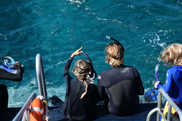 A snorkelling charter at the barrier reef