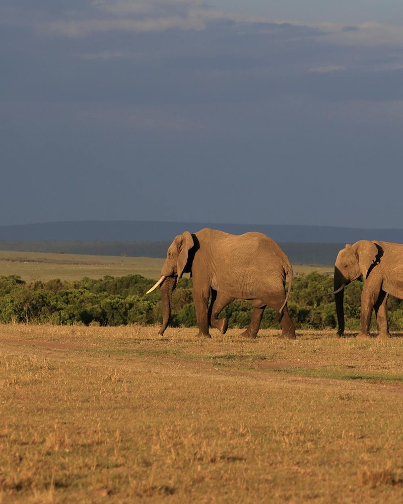south_africa