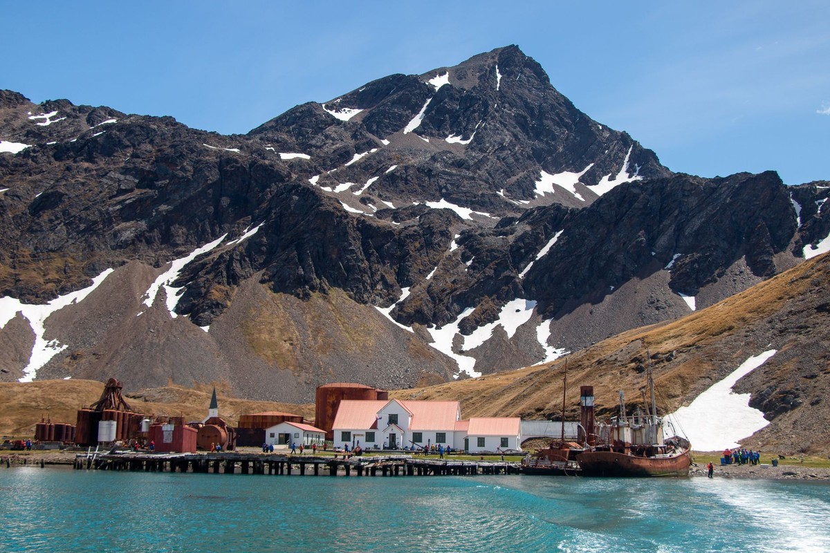 Shackleton's South