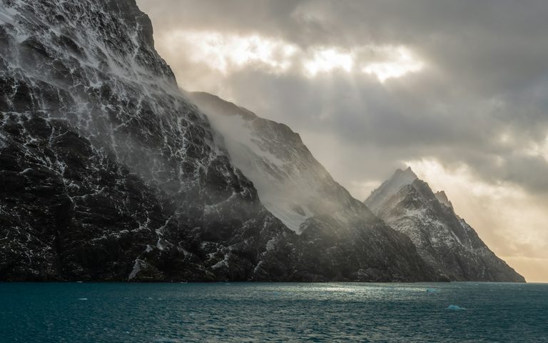 South Georgia & the Wildlife