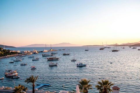Navidad y Fin de Año en el Caribe — Qué Queda Realmente Disponible