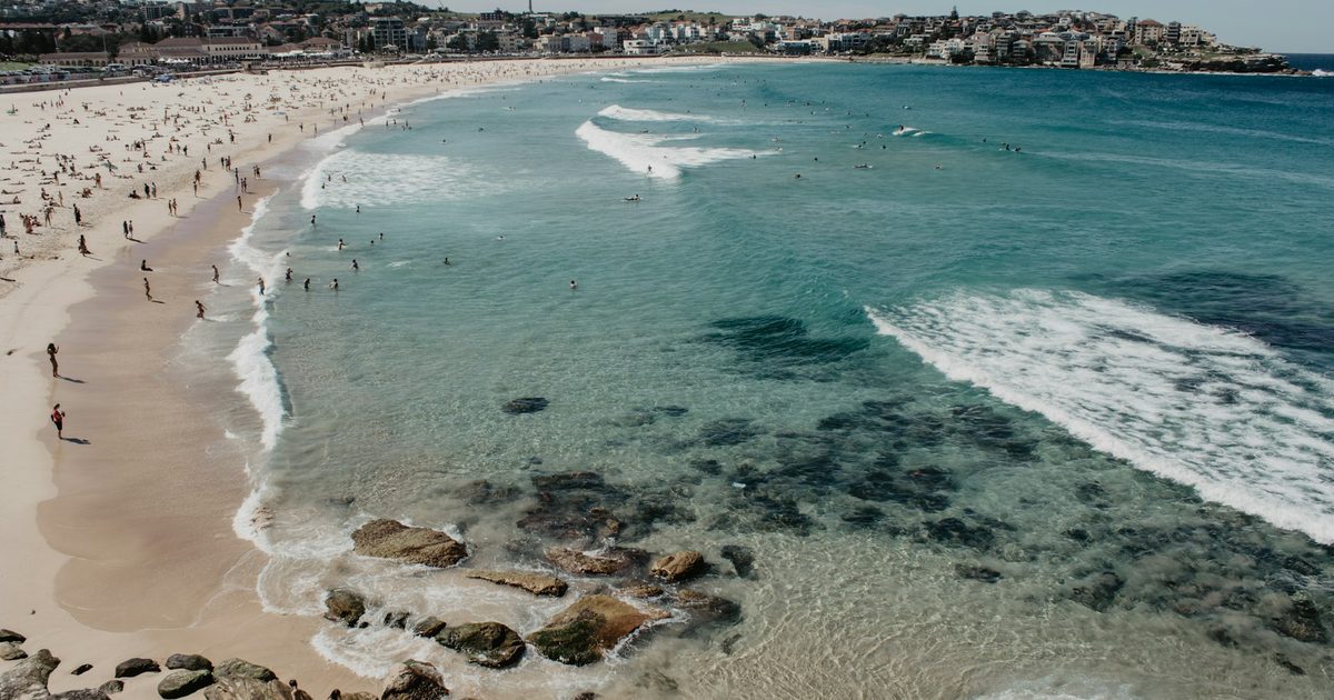 Luxury Sydney Harbour Travel | Forest Travel