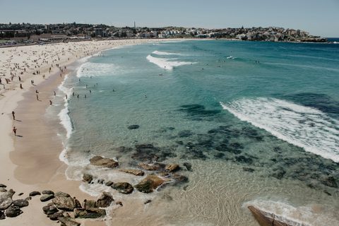 Harbour & Headlands