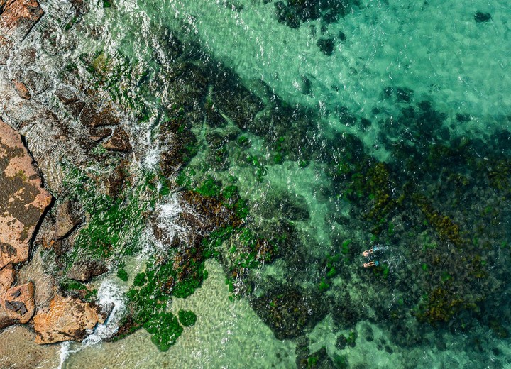 Sídney y el Arrecife