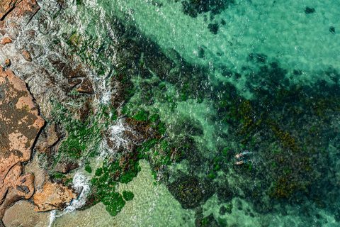 Sydney & the Reef