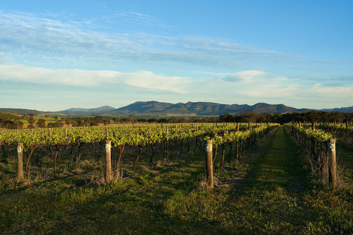 La Bodega del Hunter