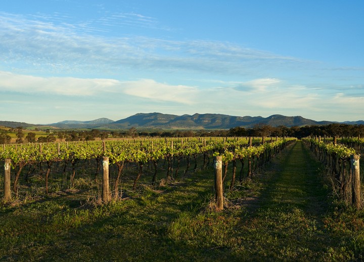 Ciudad y Tierra de Vinos