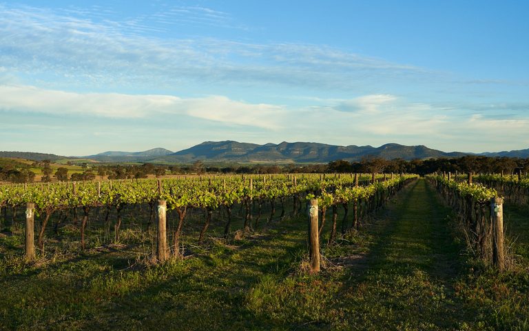 Ciudad y Tierra de Vinos