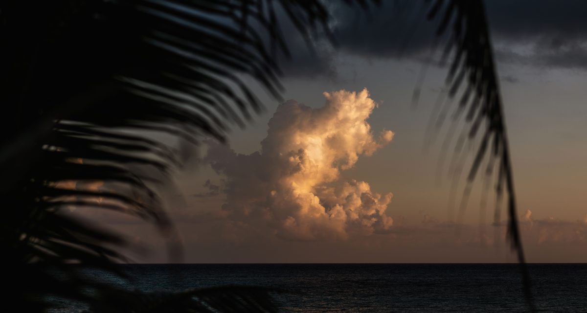 Caribbean & Latin America
