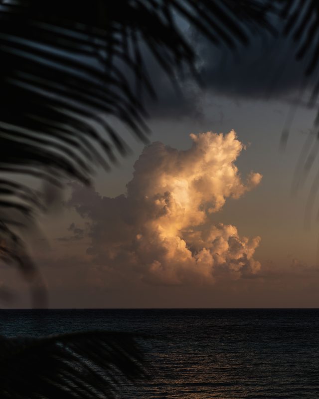 Caribbean & Latin America